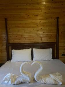 Foto dalla galleria di Cherry farm a Ajloun