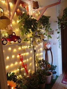 a string of lights on a wall with plants at La casa sotto il pergolato in Gravina di Catania