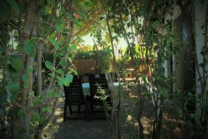 un giardino con due sedie sedute sotto un albero di Lavender Apartment ad Argelès-sur-Mer