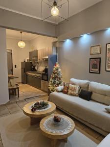 Η κουζίνα ή μικρή κουζίνα στο Elichrysos GuestHouse Konitsa