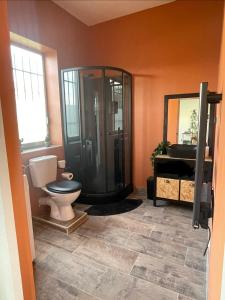 a bathroom with a shower and a toilet and a mirror at Studio Cosy avec déco artisanale unique in Voeuil-et-Giget