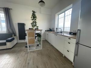 a kitchen with a christmas tree on the counter at Studio Cosy avec déco artisanale unique in Voeuil-et-Giget