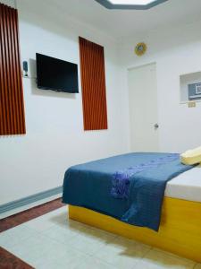 a bedroom with a bed and a flat screen tv at Z House of Guests 6- Mambago B, Samal Davao Del Norte in Samal