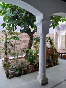Un montón de plantas en una habitación con una columna. en Diamond Pushkar, en Jāmb 29 fotos más