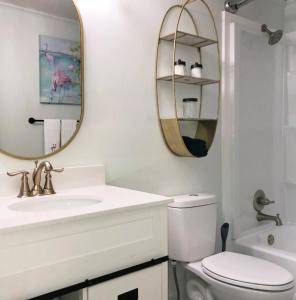 a bathroom with a sink and a mirror and a toilet at Quiet-Clean-Cottage-Dogs Kitchen in Tallahassee +26 photos