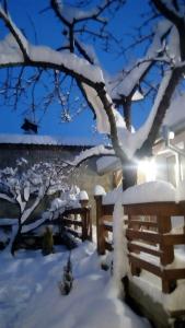 Το The Old Cherry House τον χειμώνα