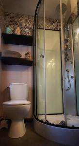 a bathroom with a toilet and a shower at L'atelier des rêves, balnéo, lit rond, centre-ville in Lunéville +9 photos