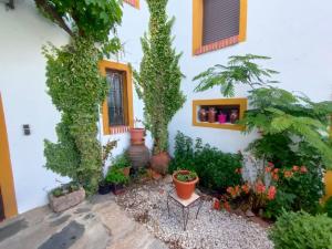 un edificio con piante e fiori in un cortile di Casa Rural Ivanrey a Ivanrey