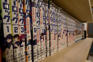 Fotografie z fotogalerie ubytování 漫画のある家 v destinaci Yamatokoriyama