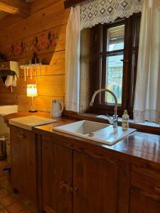 a kitchen counter with a sink and a window at Hriady in Wetlina