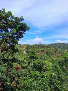 Φωτογραφία από το άλμπουμ του Gandya Residence σε El Nido