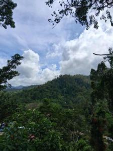 Φωτογραφία από το άλμπουμ του Gandya Residence σε El Nido