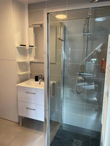 een badkamer met een glazen douche en een wastafel bij Studio Lestal in Aix-les-Bains