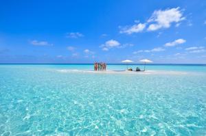 Φυσικό τοπίο κοντά σε αυτός ο ξενώνας +23 φωτογραφίες