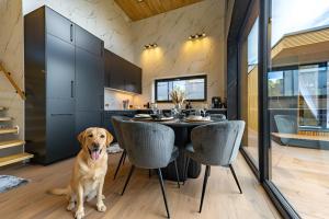 a dog sitting next to a table in a kitchen at Green Field Villa in Kuressaare