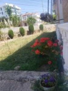 Zahrada ubytování Villa Summer Borsh