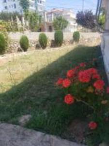 Zahrada ubytování Villa Summer Borsh