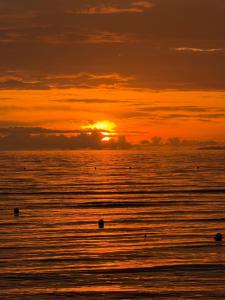 Lawson’s Beach Resort في سان خوان: غروب الشمس على المحيط مع غروب الشمس