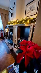 a living room with a fireplace and a television with christmas lights at In De Wulf in Ieper