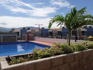 a swimming pool with a palm tree on a building at Makarena house in Villa del Rosario