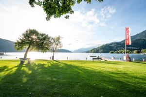 a park with two benches and a tree and a lake at Chalets Camping Brunner am See in Döbriach