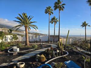 ein Garten mit Kakteen und Palmen und dem Meer in der Unterkunft Villa Las Norias in Tazacorte