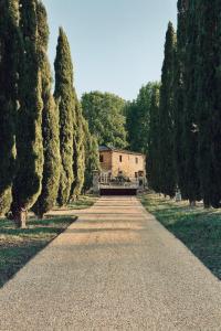 a road lined with trees in front of a house at Agriturismo La Frattina in Buonconvento
