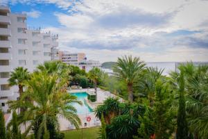 vistas a un edificio y a una piscina con palmeras en Apartamentos Vistasol, en Magaluf