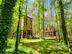 a house in the middle of a forest at Tree Houses Olszanka in Puszcza Mariańska