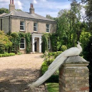 una statua di un gabbiano seduto in cima a una casa di The Priory Cottage a Legbourne