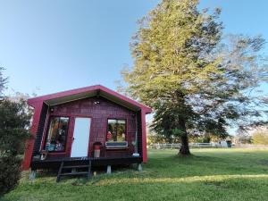 a tiny house in a field with a tree at Cabañas El Roble in Dalcahue