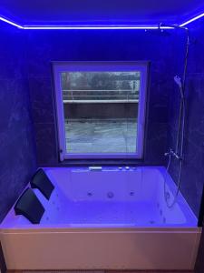 Ένα μπάνιο στο Chalet sur le toit de Strasbourg SPA Cinéma