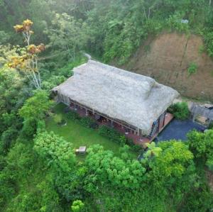 Naturlandskabet i nærheden af hotellet