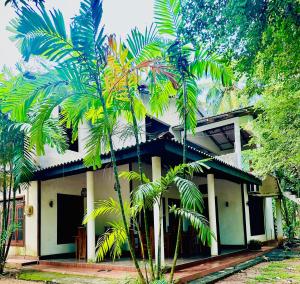 Κήπος έξω από το Karu' place Sigiriya +42 φωτογραφίες