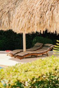 Fotografie z fotogalerie ubytování The Green Turtle Eco Lodge v destinaci Willemstad + 21 fotografií