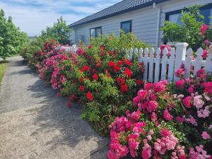 a row of flowers in front of a white picket fence at BEHOME - Modern Guest Suite in Kumeu