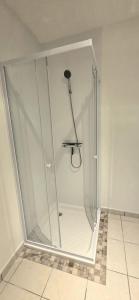 a shower with a glass door in a room at La Proue T2 étoilé in Saint-Méloir-des-Ondes +19 photos