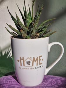 Φωτογραφία από το άλμπουμ του Lily Homes σε Wamumu