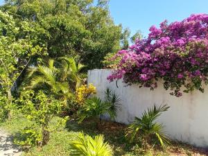 Κήπος έξω από το Casa INTI de Maracajaú