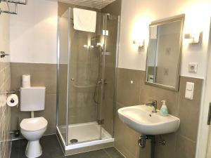 a bathroom with a shower and a toilet and a sink at Alte Schmiede Putbus in Putbus +19 photos