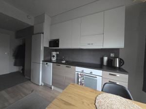 Køkken eller tekøkken på Arctic City Base apartment
