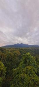 Příroda nedaleko hotelu