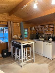 a kitchen with a island in a cabin at Relax Hütten & Spa Gröden in Groeden