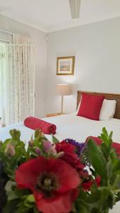 a bedroom with a bed with red pillows and a plant at Cruise Cottage in Stanford
