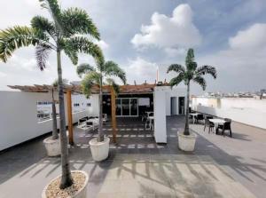 Departamento en Santo Domingo في سانتو دومينغو: فناء به أشجار نخيل على سطح مبنى