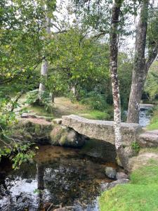 a stone bridge over a stream in a park at Dartmoor Cottage in Bovey Tracey
