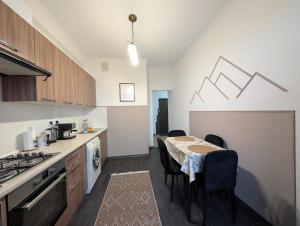 Η κουζίνα ή μικρή κουζίνα στο Socoleni City Flat +12 φωτογραφίες