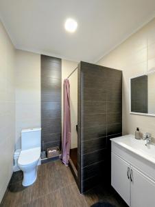 Ένα μπάνιο στο Socoleni City Flat