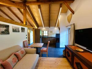 TV a/nebo společenská místnost v ubytování Charmantes Karwendel-Chalet