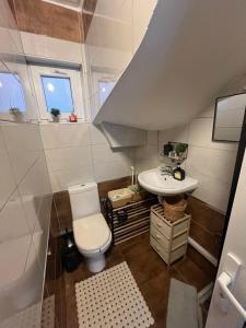 a small bathroom with a toilet and a sink at Apartman Centar Strpce in Štrpce